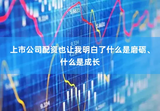 上市公司配资也让我明白了什么是磨砺、什么是成长