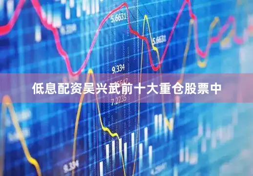 低息配资吴兴武前十大重仓股票中